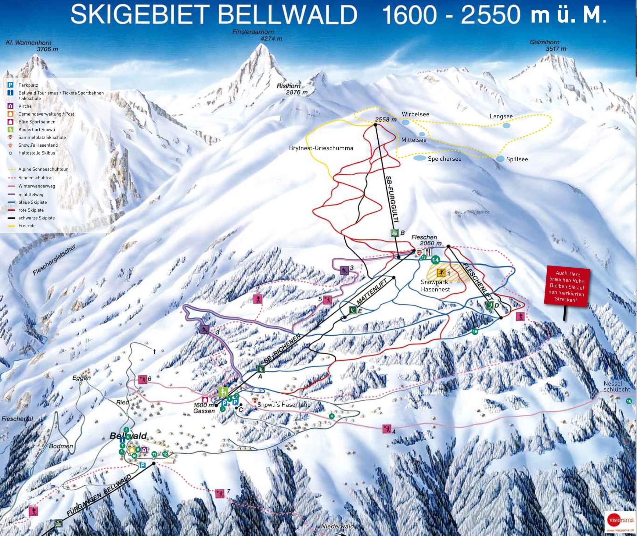 Bellwald slopes